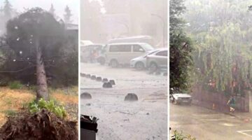 Erbaa’ta fırtınada ağaçlar devrildi