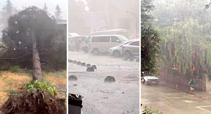 Erbaa’ta fırtınada ağaçlar devrildi