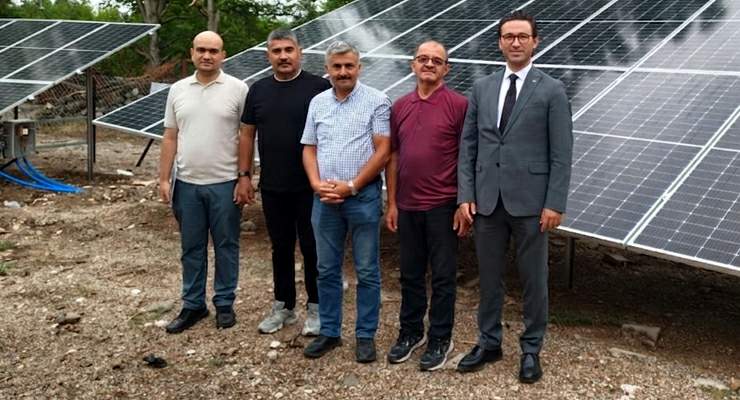 Niksar’da sürdürülebilir tarım hamlesi, Ceviz üretiminde yeşil dönüşüm başladı