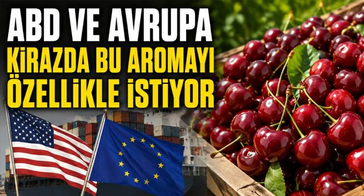 ABD ve Avrupa kirazda bu aromayı özellikle istiyor