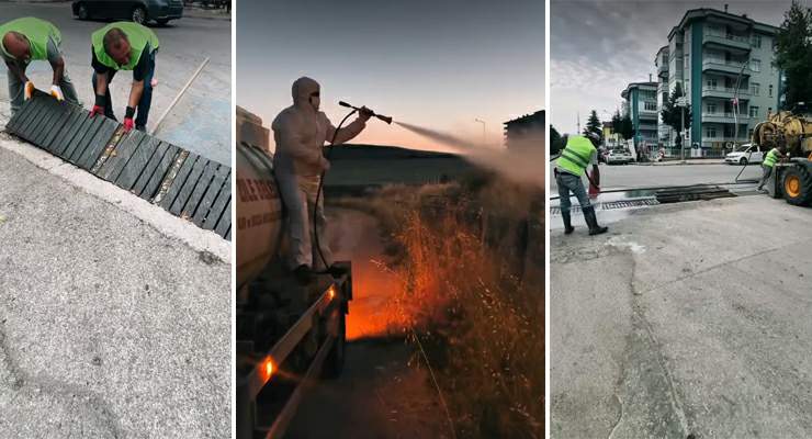 Zile’de haşerelere karşı yoğun ilaçlama mesaisi