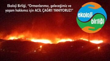 Ekoloji Birliği, “Ormanlarımız, geleceğimiz ve yaşam hakkımız için ACİL ÇAĞRI! YANIYORUZ!”