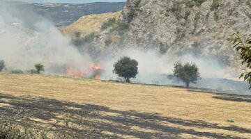 Tokat’ta otluk alandaki yangın büyümeden söndürüldü