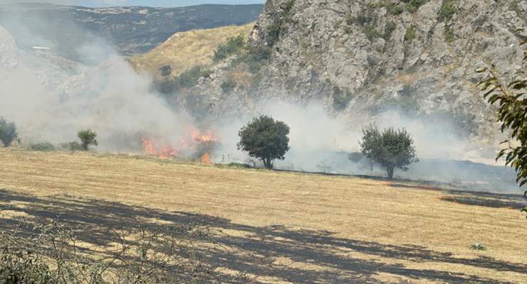 Tokat’ta otluk alandaki yangın büyümeden söndürüldü