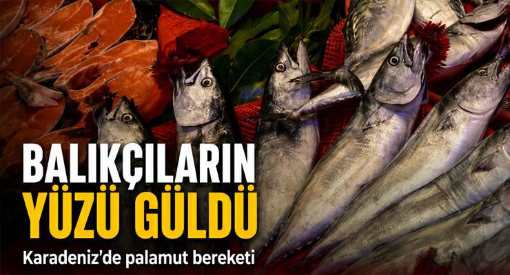 Balıkçıların yüzü güldü: Karadeniz’de palamut bereketi