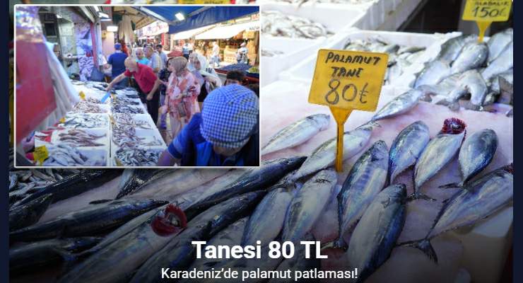 Karadeniz’de palamut patlaması: Tanesi 80 TL