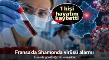 Shamonda virüsü ilk kez bir insanda tespit edildi